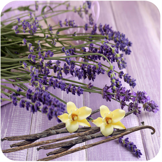 Lavender Vanilla 16 oz candle